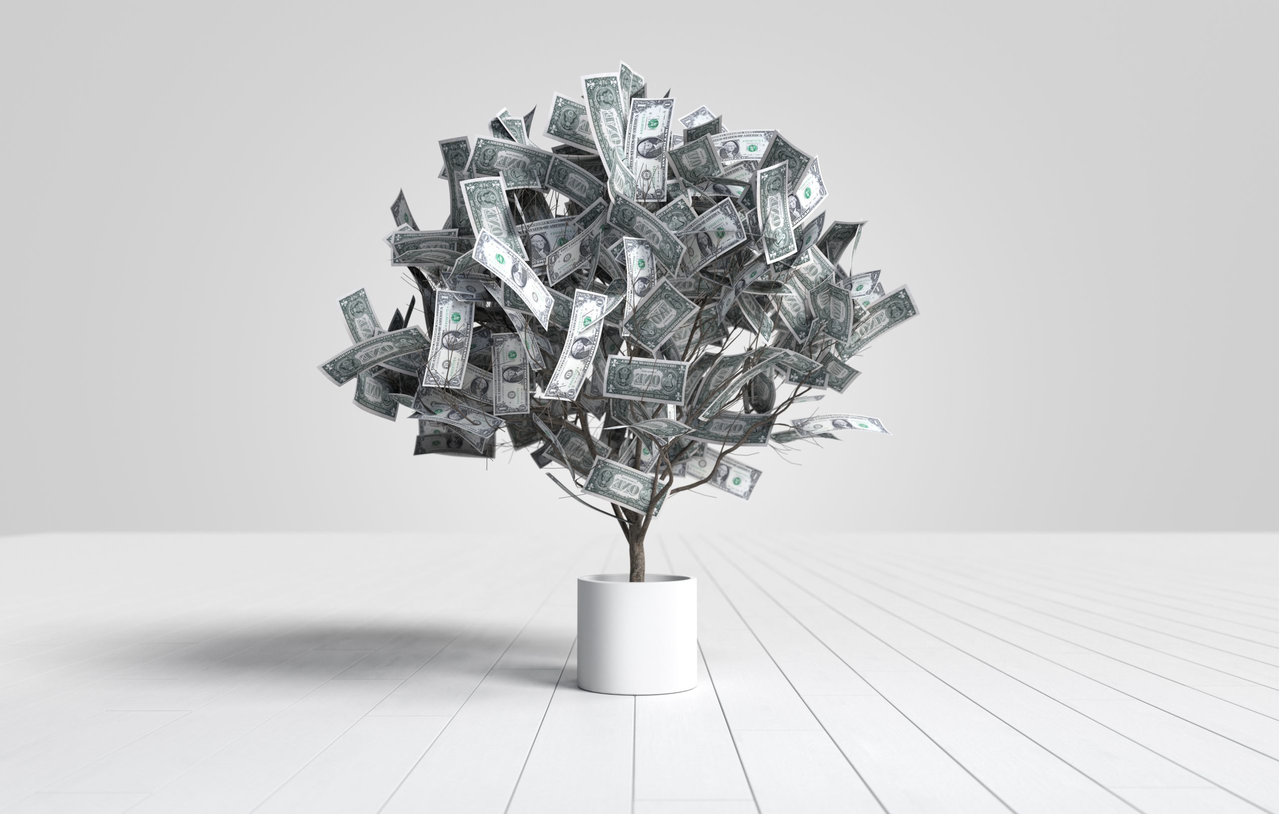 From Airdrops to Dollar Income: A Newbie Roadmap